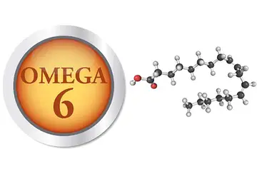 Omega 6 Kullanımı ve Faydaları Nelerdir?