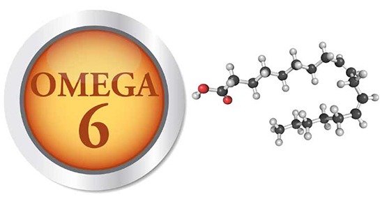 Omega 6 Kullanımı ve Faydaları Nelerdir?